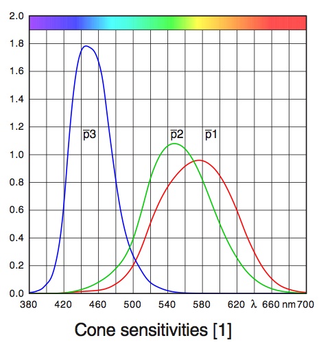 Sensitivities of human cones